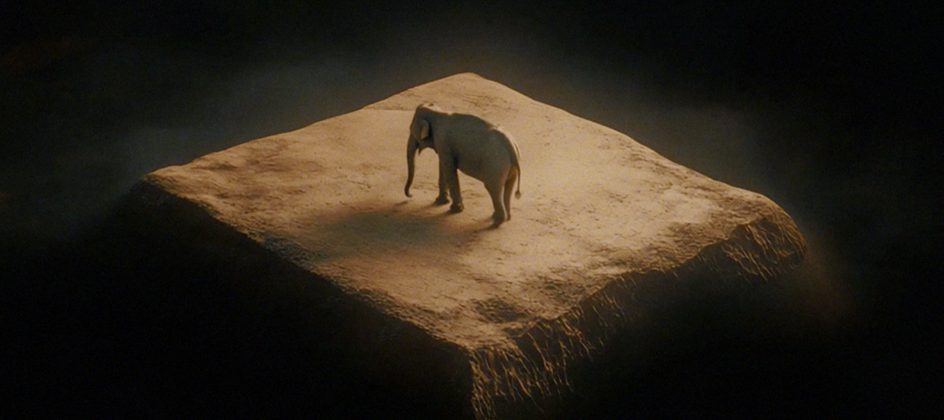 World Animal Protection marks YouTube anniversary with plea to end elephant captivity